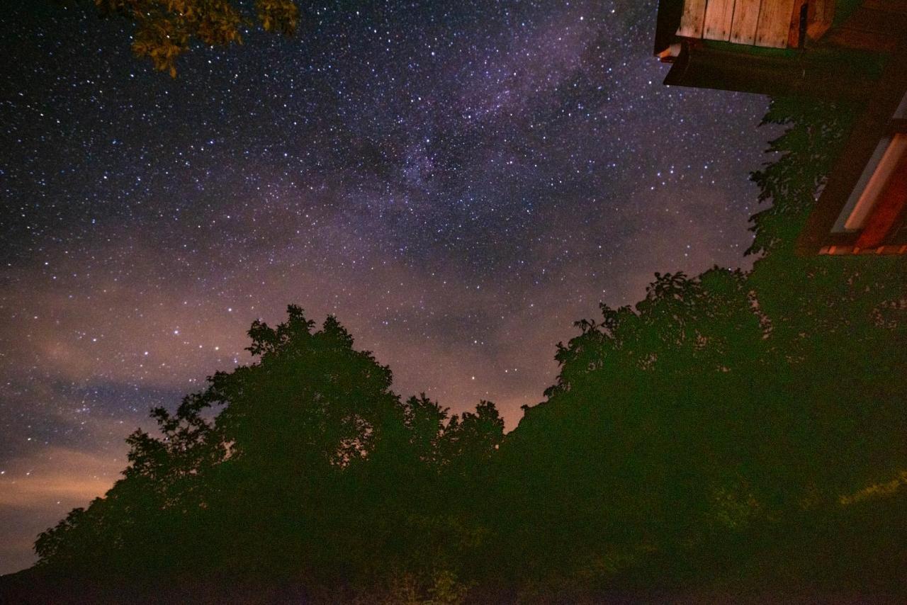 Miha Lodge - Mihcevo Plece Соча Екстер'єр фото