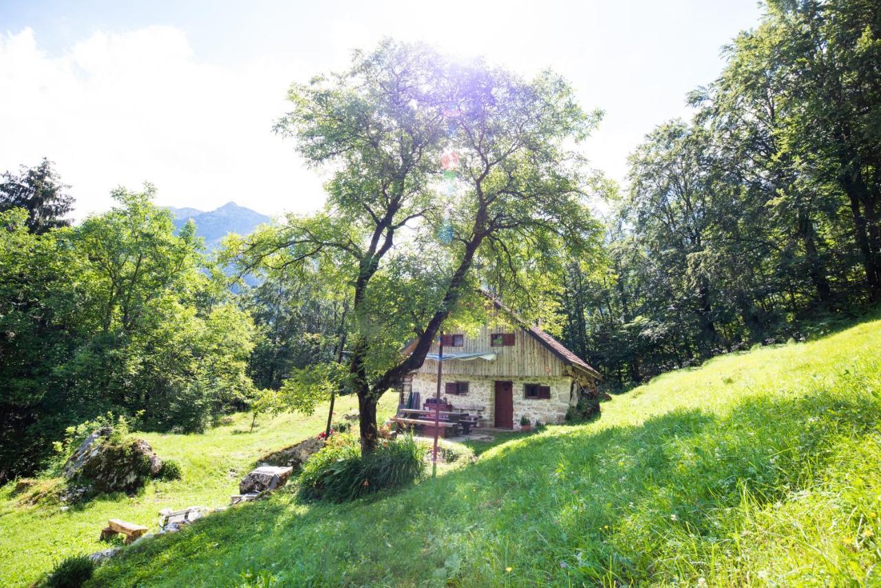 Miha Lodge - Mihcevo Plece Соча Екстер'єр фото