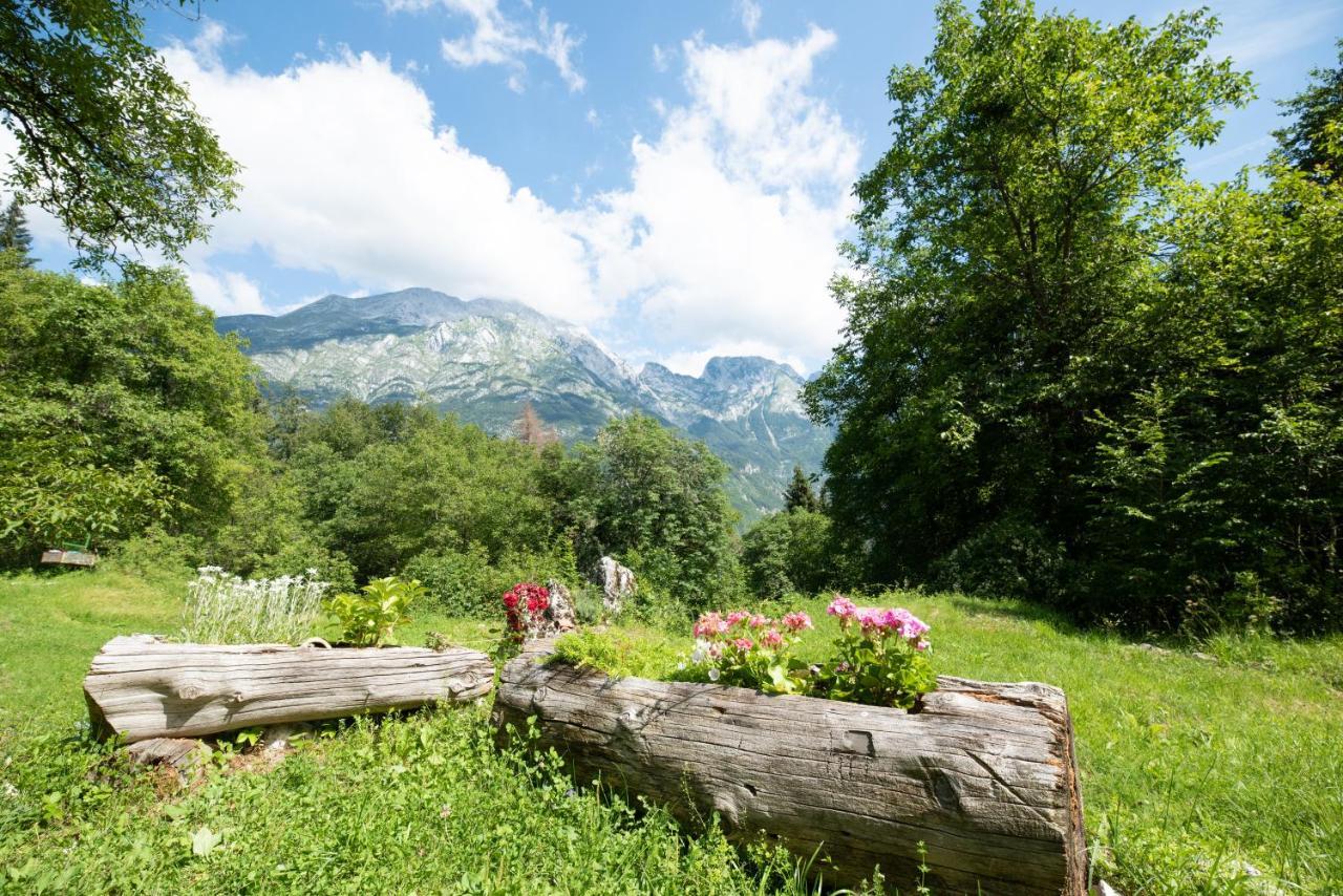 Miha Lodge - Mihcevo Plece Соча Екстер'єр фото
